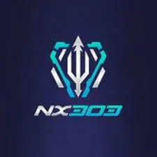 nx303
